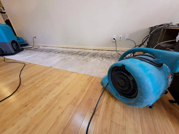Professional Burst Pipe Water Damage technician working in Berea, KY